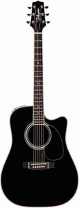 Takamine EF341SC