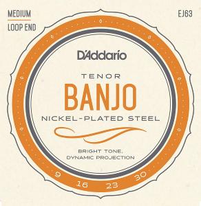 D'Addario EJ63 (Cordes Banjo Tenor)