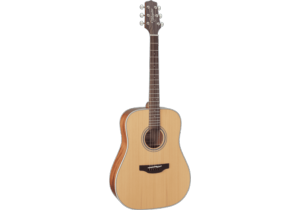 Takamine GD20NS