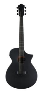 Ibanez AEWC261-BOT