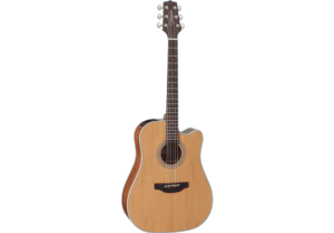 Takamine GD20CENS