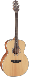 Takamine GN20NS