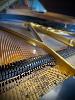 Occasion Bluthner (Piano 1/4 Queue) Allemagne