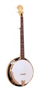 Gold Tone CC-100R  (Banjo 5 Cordes)