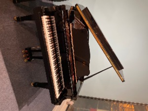 Occasion Bord BG-156 (Piano 1/4 de Queue)
