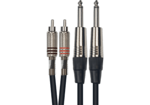 Cable 2 RCA mâle / 2 jack mono mâle (3 Mètres)