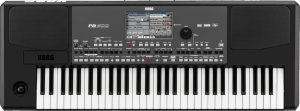 Occasion Korg PA600