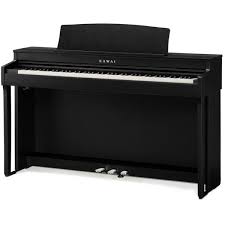 Kawai CN-301B