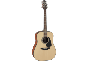 Takamine GD10NS