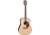 Takamine GD93NAT