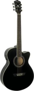 Washburn EA12B