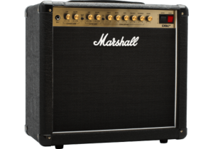 Occasion Marshall DSL20C