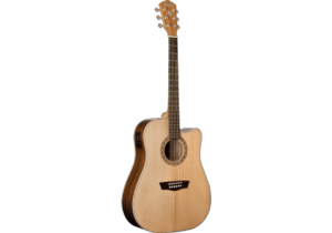 Washburn WD7SCE