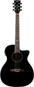 EKO NXT-A100CWE-BLK