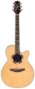 Takamine TSF48C