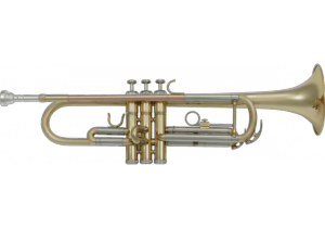 SML TP300 (Trompette)