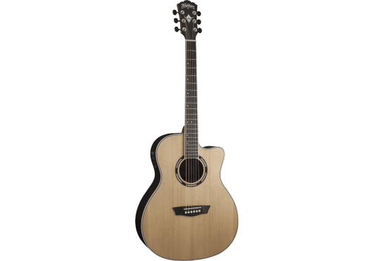 Washburn EA12B