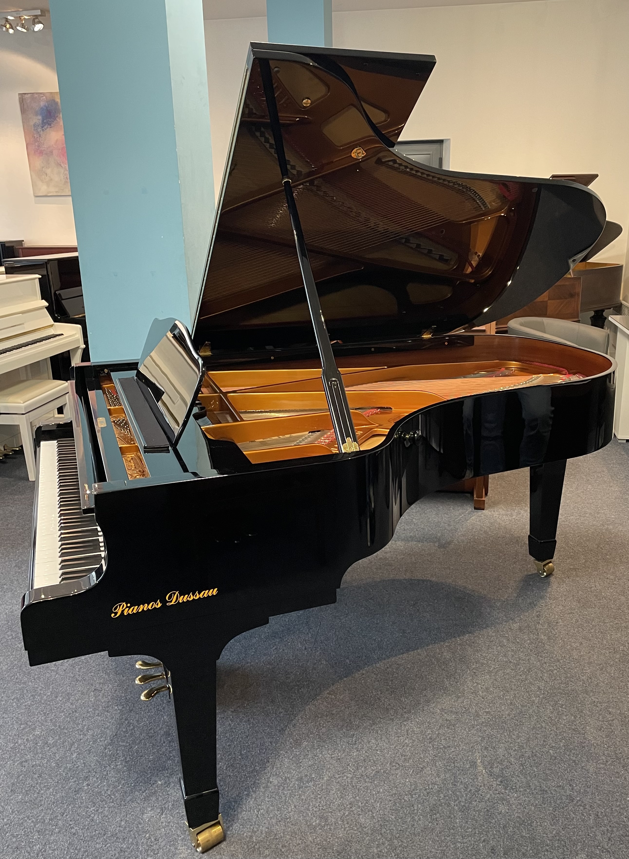 Location Piano 1/2 Queue Seiler 206