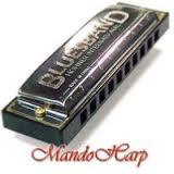 Hohner Bluesband (Harmonica)