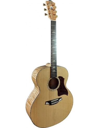 Bromo BAN7E + Housse