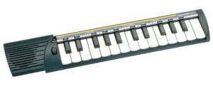 Bontempi C25 (Guide Chant)