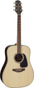 Takamine GD51NAT