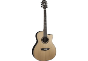 Washburn EA12B