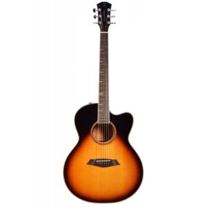 Larry Carlton A4 GS VSB