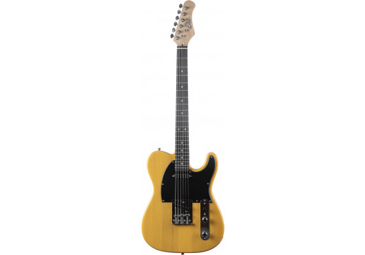 Eko TL300-BS