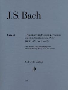 J.S.Bach - Sonate en trio et Canon Perpetuus de l'Offrande musicale BWV 1079 n° 8 et 9 pour flûte, violon et basse continue